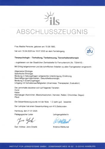 Abschlusszertifikat Tierpsychologin Madita Persicke